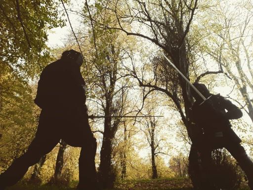 Two silhouetted combatants sparring with long swords in a forest.